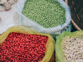 Grain free dog food causing DCM grain free dog food