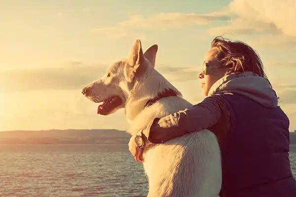coping with the loss of a dog coping with the loss of a dog
