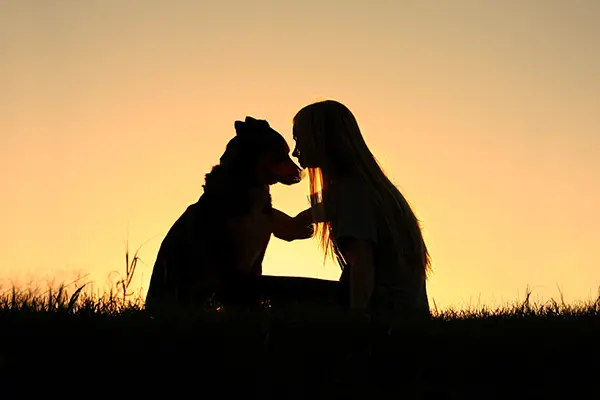 Woman Hugging Dog Silhouette Grieving the Loss of a Dog