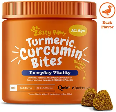 turmeric supp1 therapy for dachshunds with ivdd