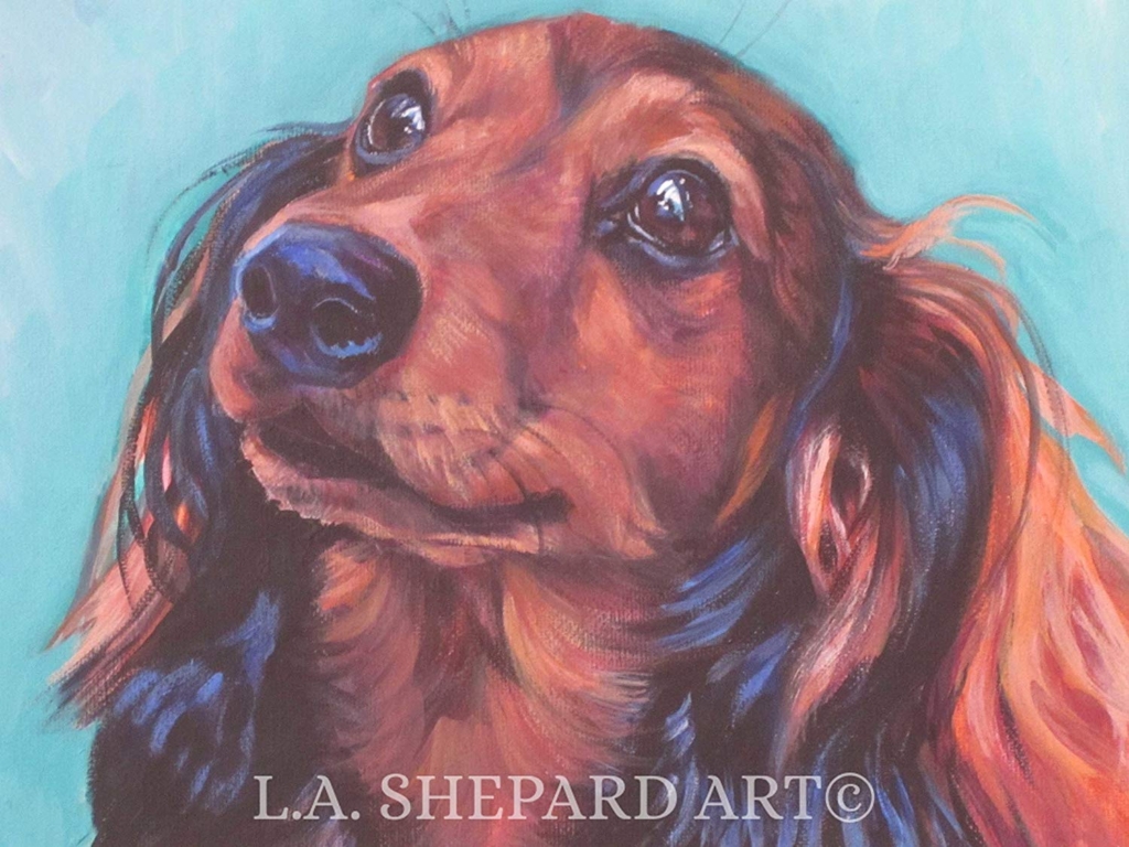 Dachshund Portrait