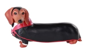 Dachshund Vampire