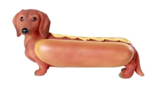 Dachshund Hotdog