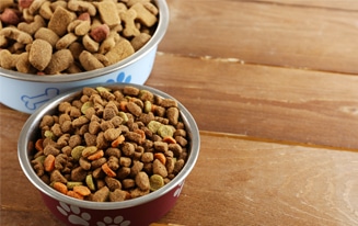 change your dog's food