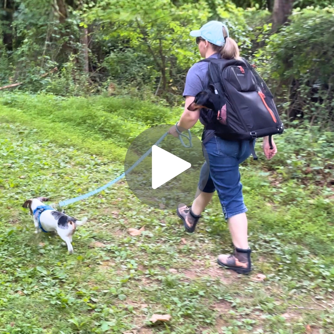 DjangoPack Review Video on Amazon