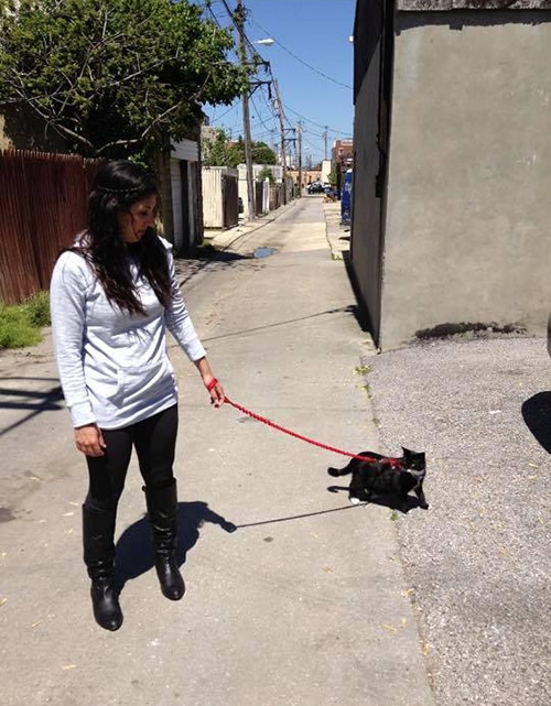 lori pet service
