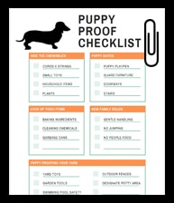 dachshund proof your home
