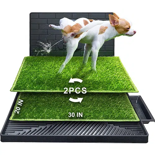 indoor dog potty indoor dog potty