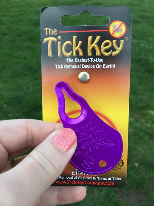 tick key for dogs tick key for dogs