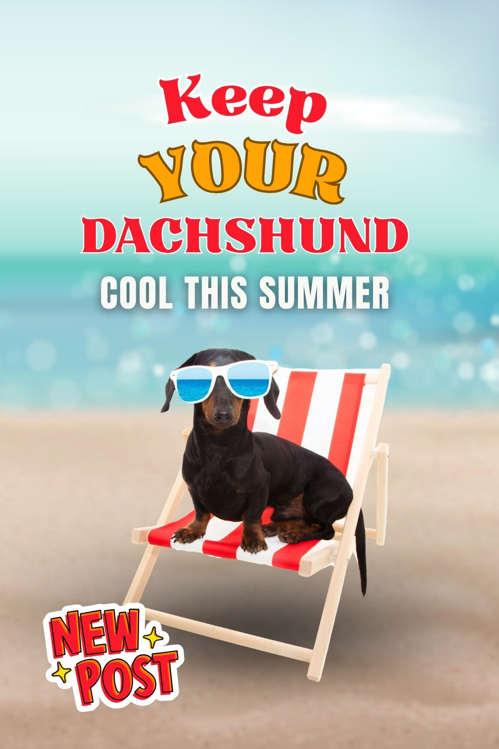 keep your dachshund cool this summer keep your dachshund cool this summer