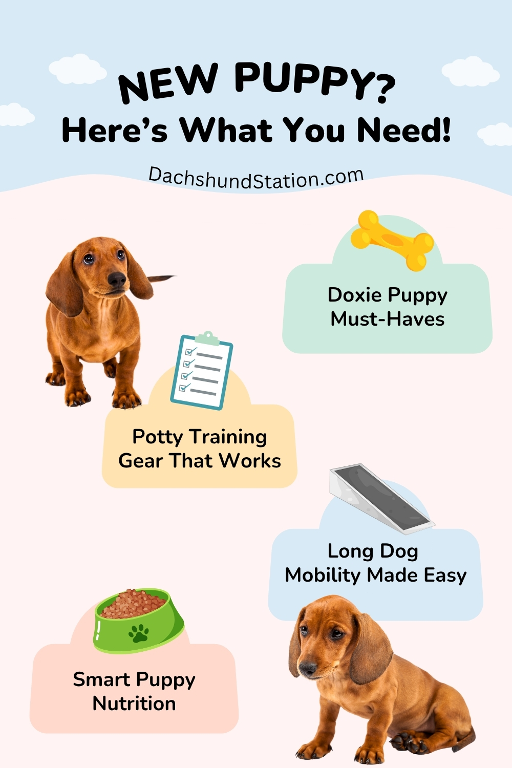 Dachshund Puppy Essentials