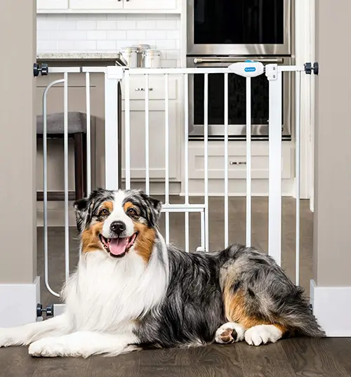 walk through puppy gate walk through puppy gate