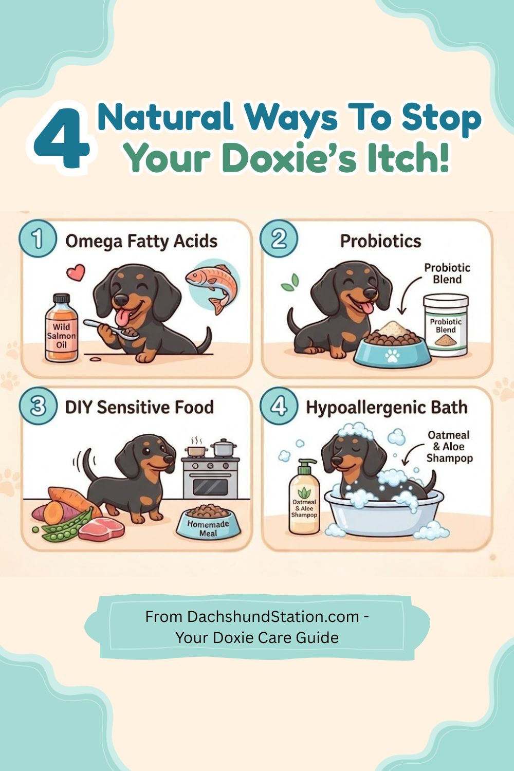 Natural ways to stop your doxie's itch pin