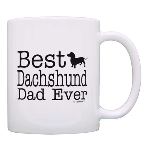 best dachshund dad mug