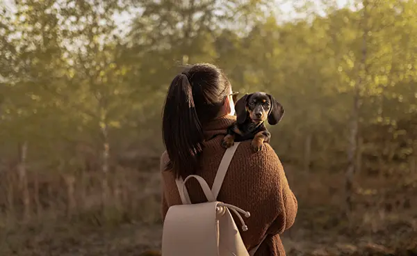 Female with a backpack holding a cute Dachshund dog while walking in the forest Dachshund Gift Ideas for Women