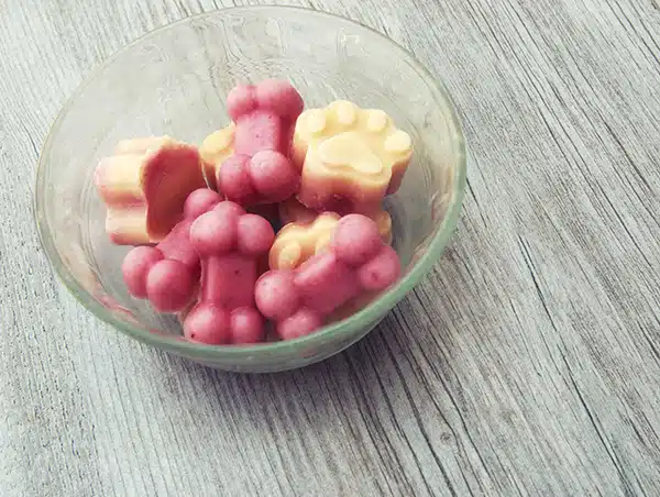 Cold frozen yogurt dog treats in a bowl Cool Your Dachshund Down in Summer