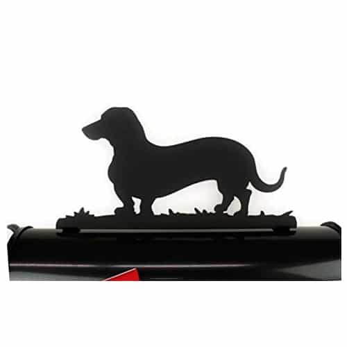 dachshund mailbox top