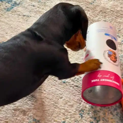 chelsy’s toy enrichment tube chelsy's toy enrichment tube