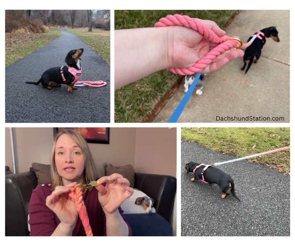 rope dog leash from django