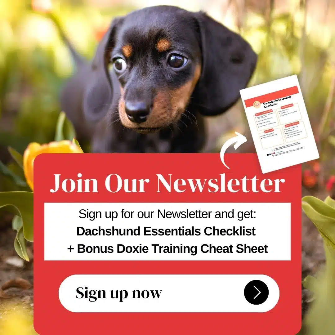 Join the Dachshund Station Newsletter