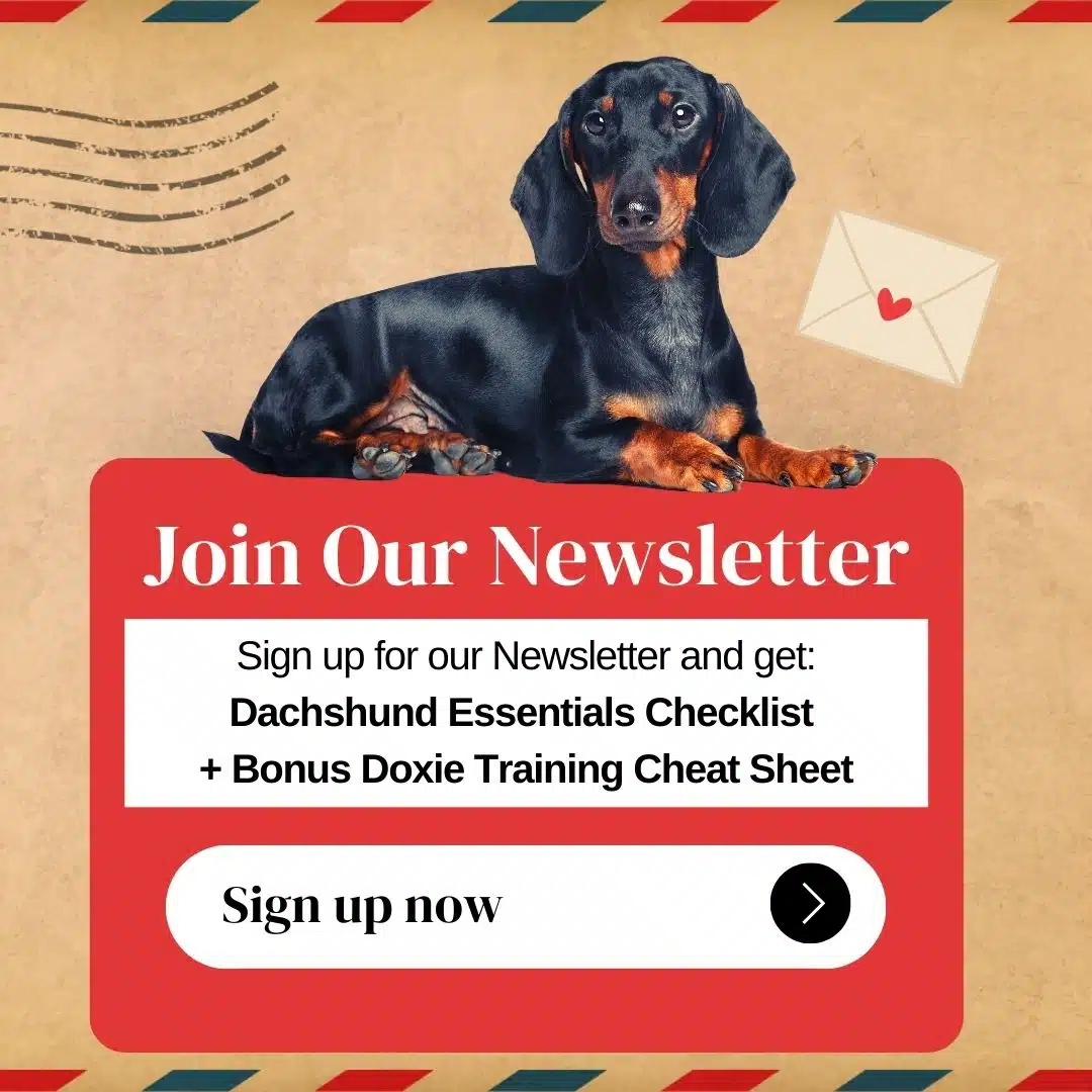 Join the Dachshund Station Newsletter