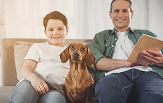 is a dachshund a good family dog?