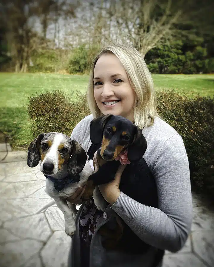 Ava Jaine and Dachshunds Ava Jaine and Dachshunds