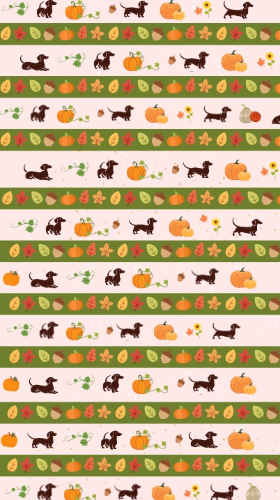 fall themed dachshund phone wallpaper (2)