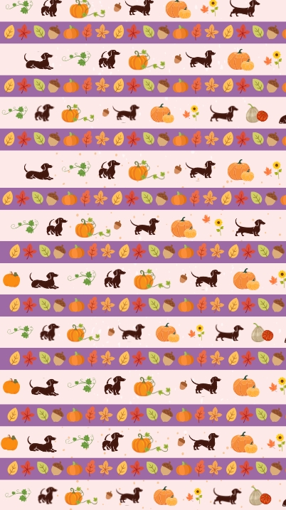 fall themed dachshund phone wallpaper
