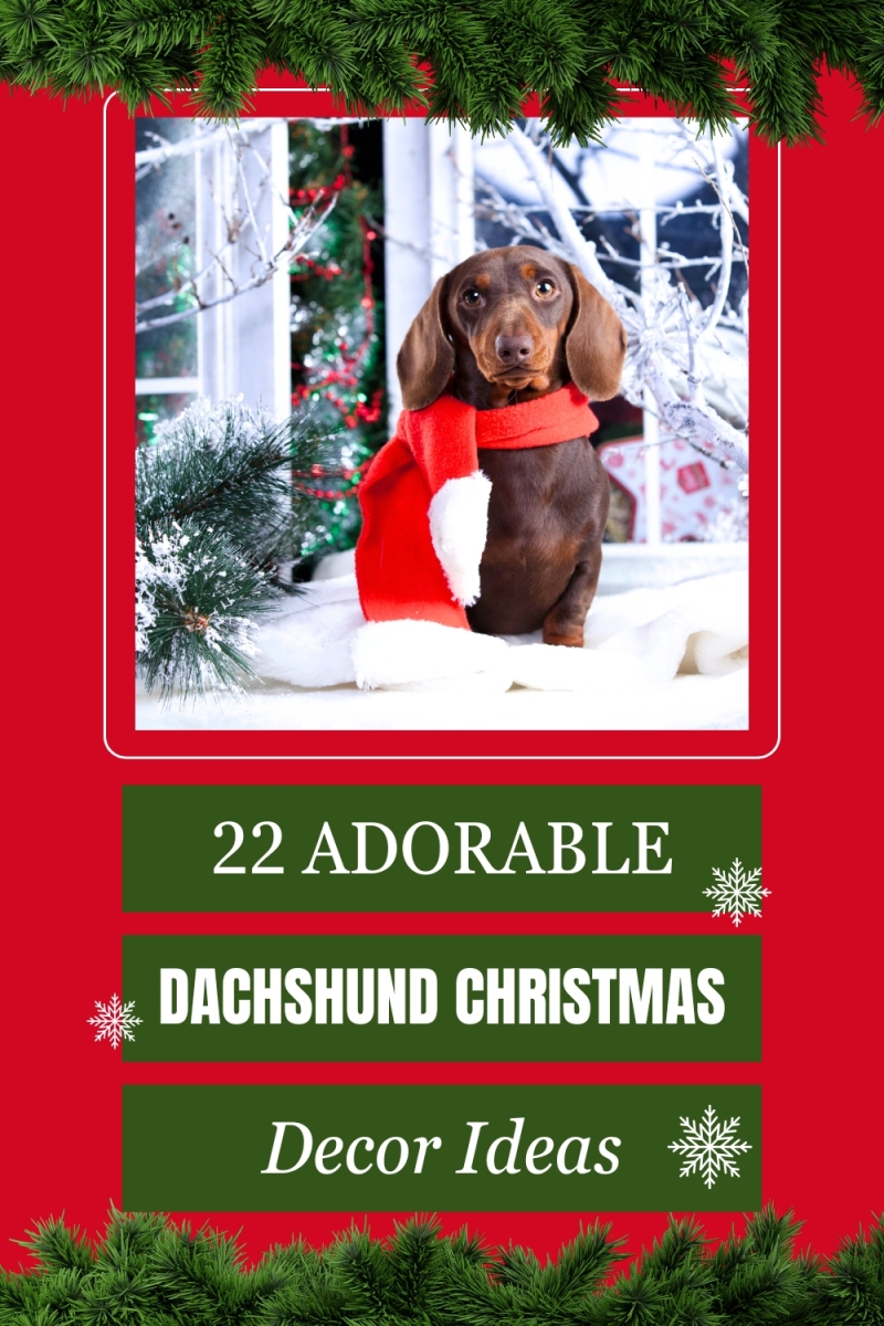 Festive Dachshund Christmas Decorations To Spread Holiday Joy ...