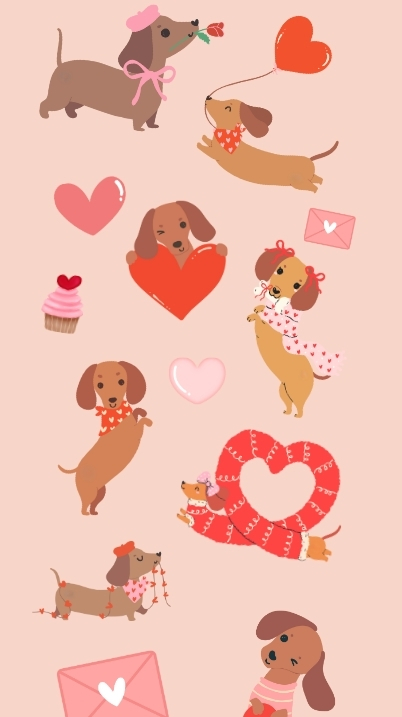 dachshund valentine aesthetic wallpaper