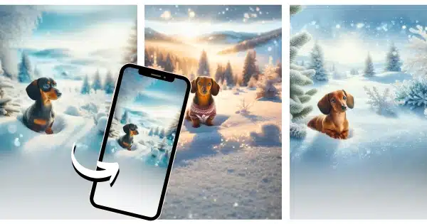 dachshund winter wallpaper post