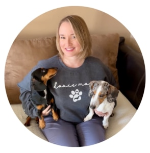 Welcome to Dachshund Station – Ava Jaine and Dachshunds Welcome to Dachshund Station - Ava Jaine and Dachshunds