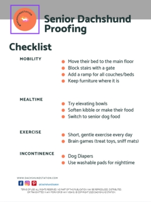 Senior Dachshund Proofing checklist