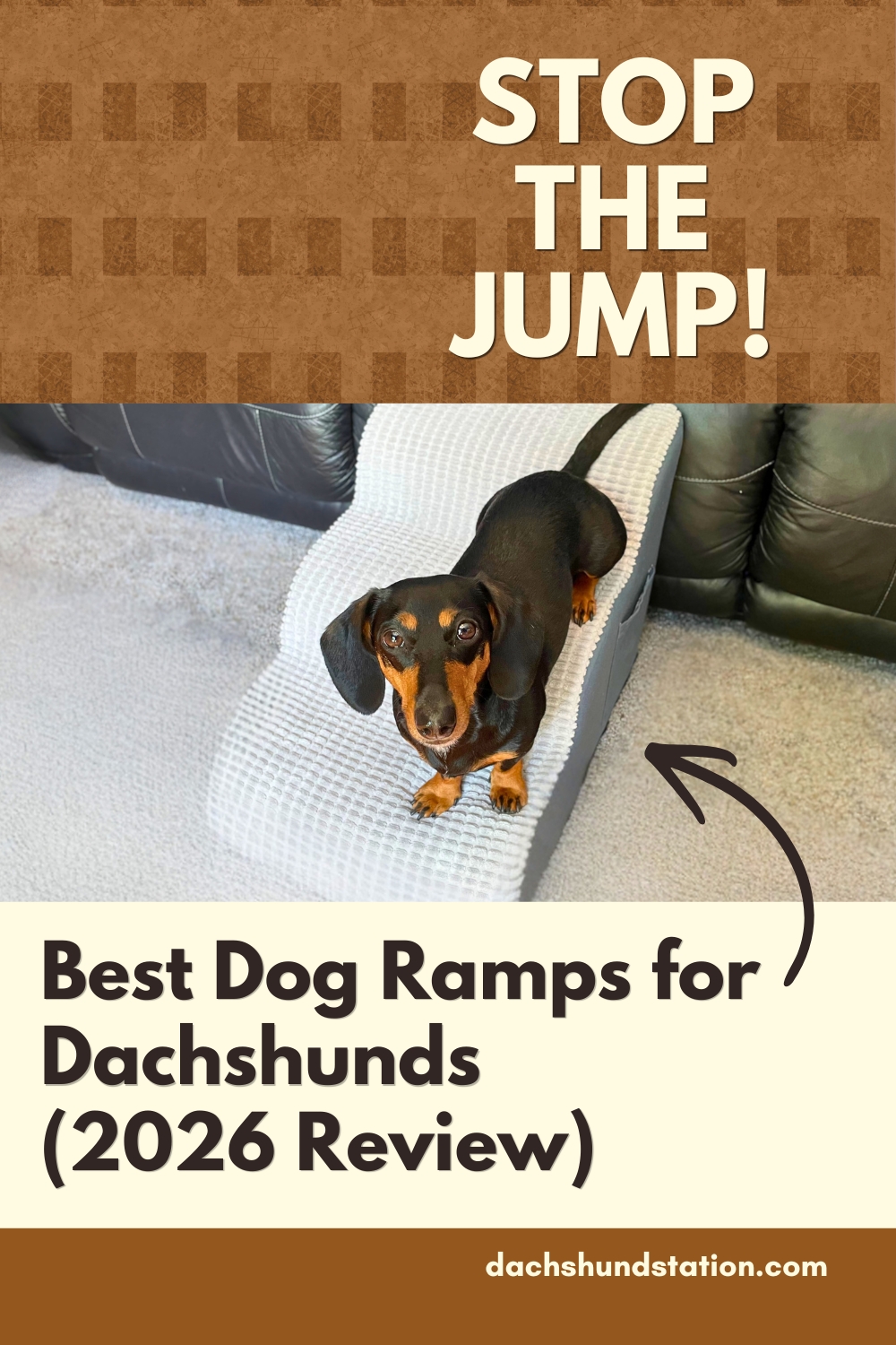 Best Dog Ramps for Dachshunds Best Dog Ramps for Dachshunds