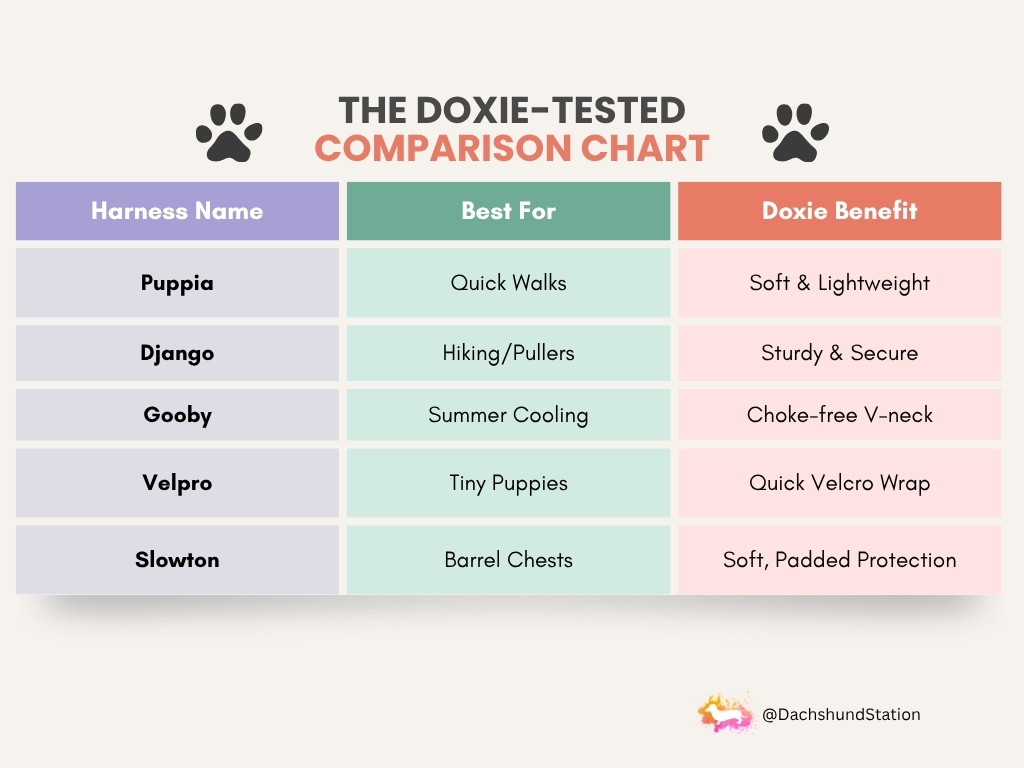 Comparison chart of the 5 best dachshund harnesses including Puppia, Django, and Gooby Comparison chart of the 5 best dachshund harnesses including Puppia, Django, and Gooby