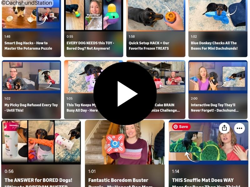 best dachshund toys video reviews by dachshund station